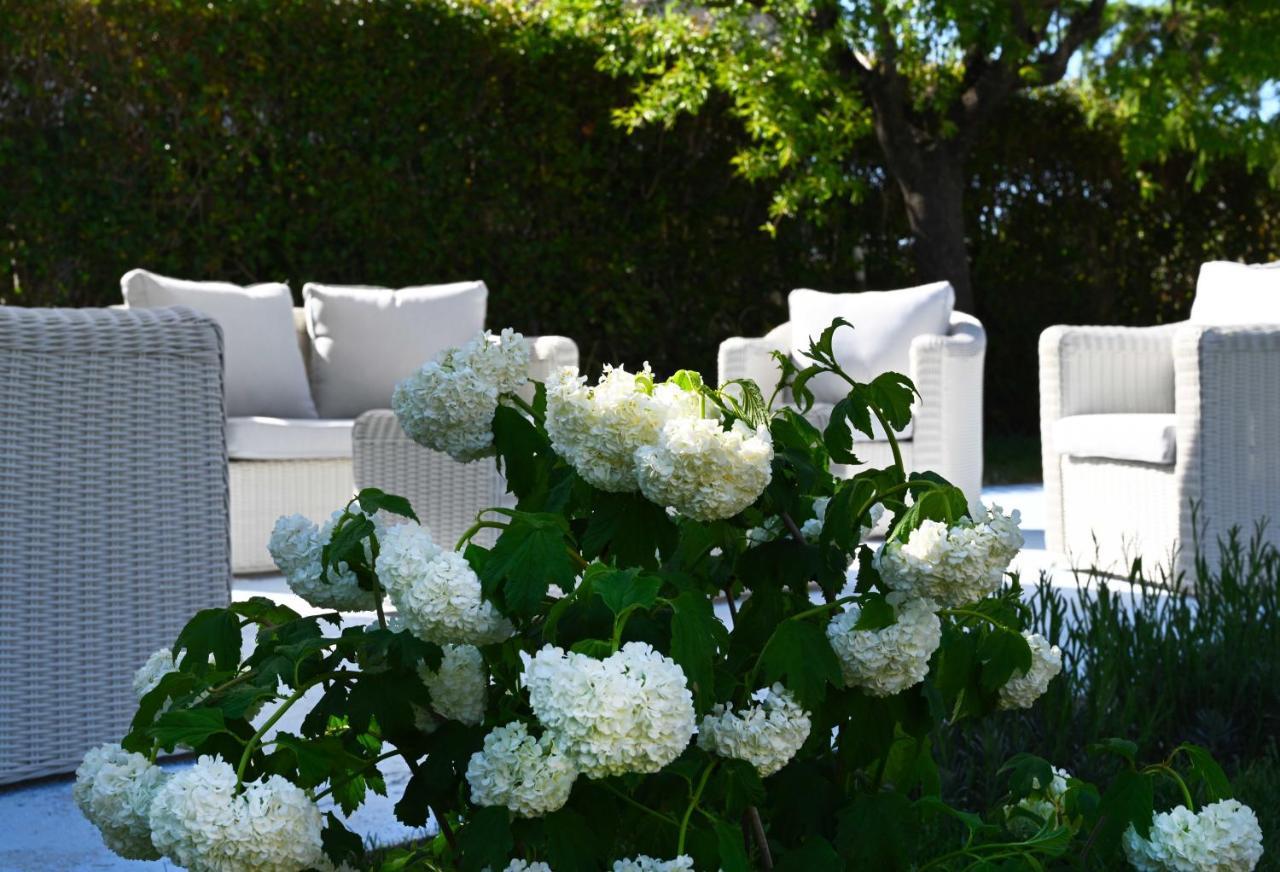 Bed and Breakfast Aura Relais Numana Exterior foto
